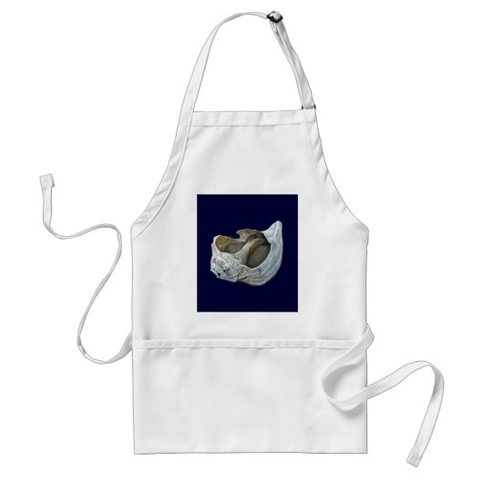 Tablier Coquillage - Personnaliser Choisissez votre couleu (Devant)