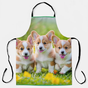 Tablier Corgies jouant dans l'herbe