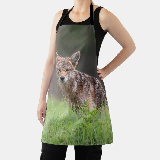 Tablier Coyote Brown étoilé, sur un terrain (Insitu)