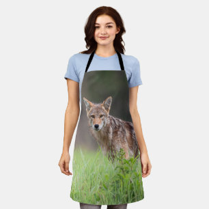 Tablier Coyote Brun Fixant, Sur un Champ