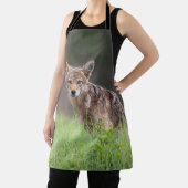 Tablier Coyote Brun Fixant, Sur un Champ (Insitu)