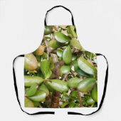 Tablier Crassula ovata sur toute la surface d'impression (Recto)