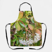 Tablier Crassula ovata sur toute la surface d'impression (Recto)