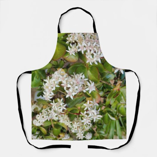 Tablier Crassula ovata sur toute la surface d'impression (Recto)