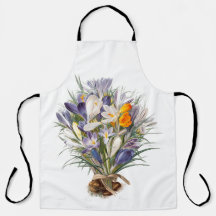 Crocus Spring Flower Botanique Floral Art