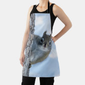 Tablier Curious Squirrel, Canadian Animal Photography (Insitu)