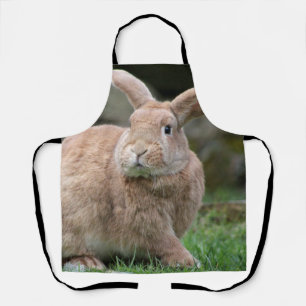 Tablier Cute lapin de gingembre avec de grandes oreilles