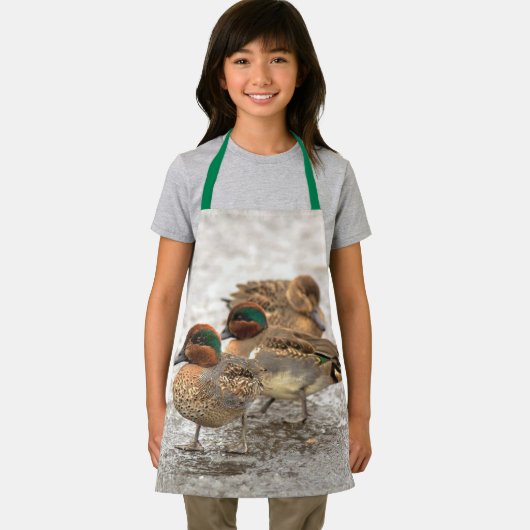 Tablier Cute Trio of Green-Winged Teals Ducks (Insitu)