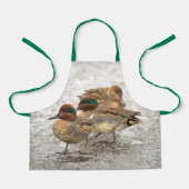 Tablier Cute Trio of Green-Winged Teals Ducks (Recto)