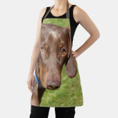 Tablier Dachshund (Insitu)