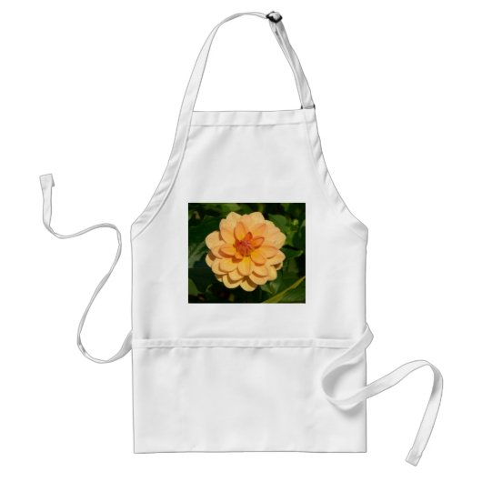 Tablier Dahlia 'David Howard' (Devant)