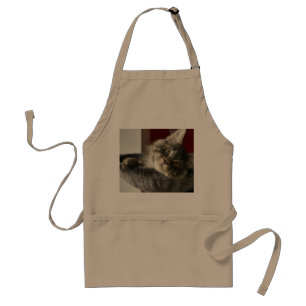 Tablier de chaton de ragondin du Maine