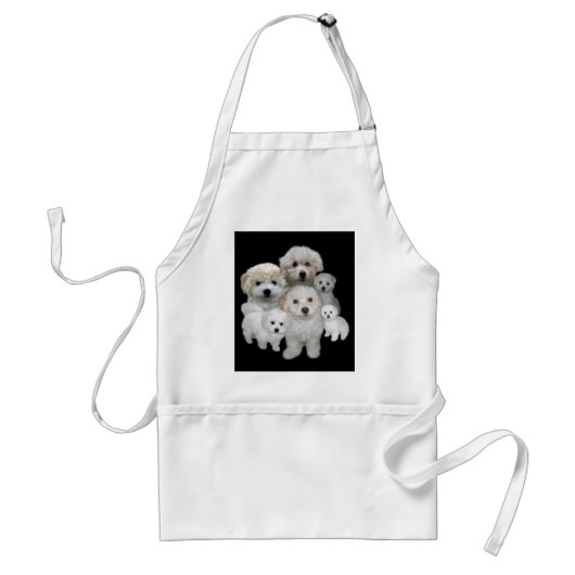 Tablier de chiots de Bichon Frise (Devant)