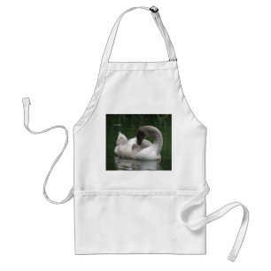 Tablier de cygne endormi