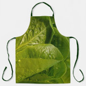 Tablier de laitue du jardin (Recto)