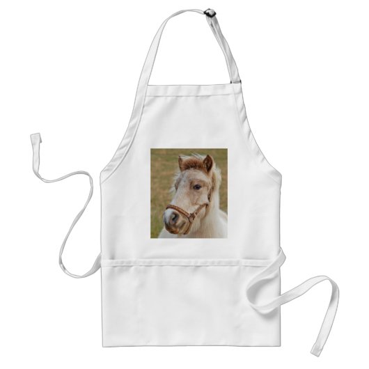 Tablier de poney de Shetland (Devant)