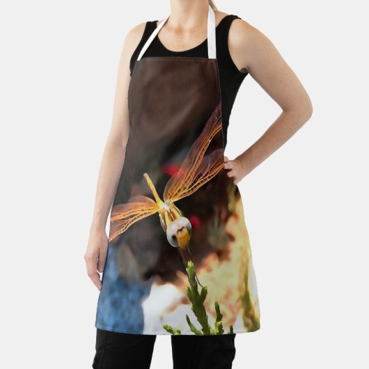 Tablier Dragonfly With Sunlight Gilded Wings (Insitu)