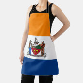 Tablier Drapeau d'Albany, New York (Insitu)