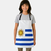 Tablier Drapeau de l'Uruguay (Insitu)
