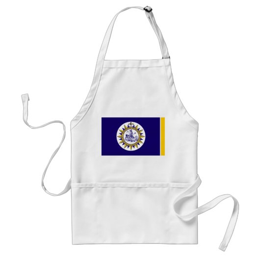 Tablier Drapeau de Nashville, Tennessee Adulte Apron (Devant)