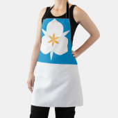 Tablier Drapeau de Salt Lake City, Utah (Insitu)