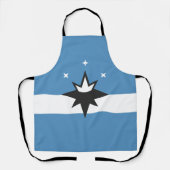 Tablier Drapeau de Springfield, Missouri (Recto)