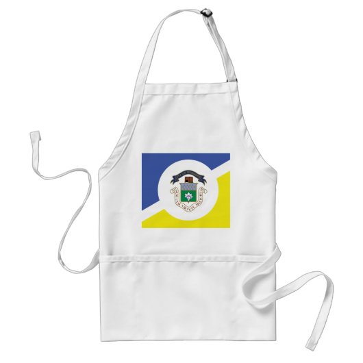 Tablier Drapeau de Winnipeg (Manitoba) Adulte Apron (Devant)