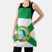 Tablier Drapeau d'Hollywood, Floride (Insitu)