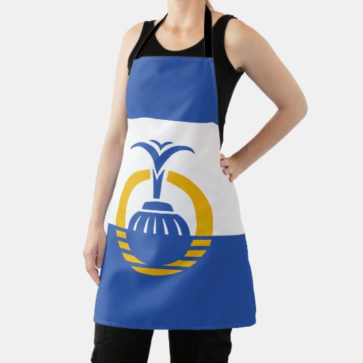 Tablier Drapeau d'Orlando, Floride (Insitu)