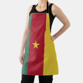 Tablier drapeau du Cameroun (Insitu)