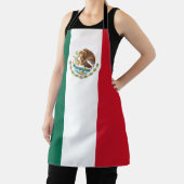 Tablier Drapeau du Mexique, Bandera de la République mexic (Insitu)