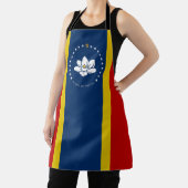 Tablier Drapeau du Mississippi (Insitu)