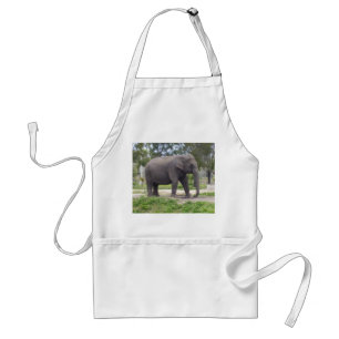 Tablier Éléphant sur un chemin de prairie ensoleillé