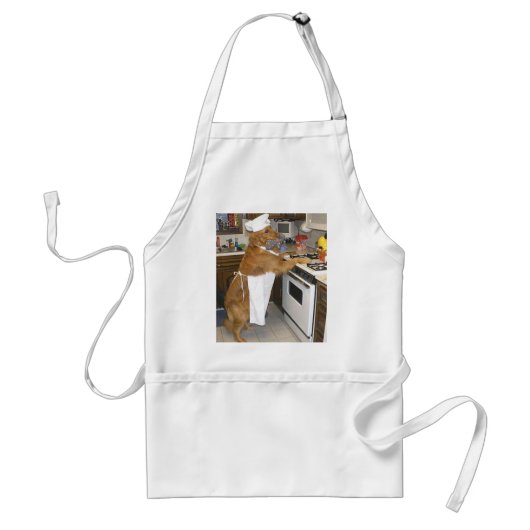Tablier Embrassez ce cuisinier (Devant)