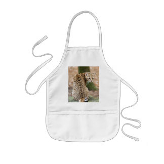 Tablier Enfant geoffroy-cat-004