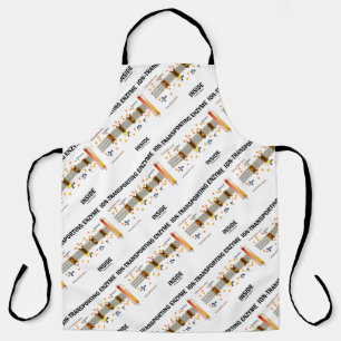 Tablier Enzyme transportant de l'Ion dans le transport act