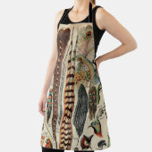 Tablier Feather Bird Wildlife Plumes d'antiquités (Insitu)