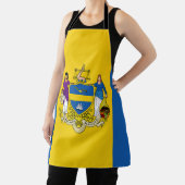 Tablier Flag of Philadelphia, Pennsylvania (Insitu)