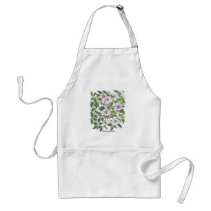 Tablier Fleurs d'Hibiscus Vintage par Basilius Besler