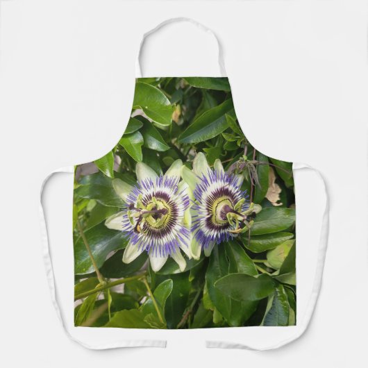Tablier floral à fleur de la passion pourpre (Recto)