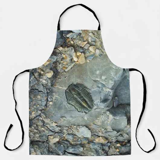 Tablier Fossile (Recto)