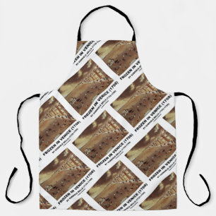 Tablier Frozen In Venice (1708) par Gabriele Bella