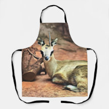 Gizzelle Apron