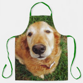 Tablier Golden Retriever (Recto)