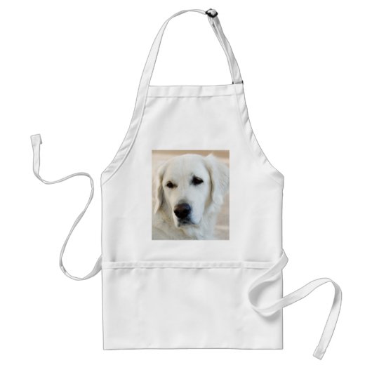 Tablier Golden retriever (Devant)