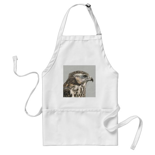 Tablier Goshawk immature (Devant)