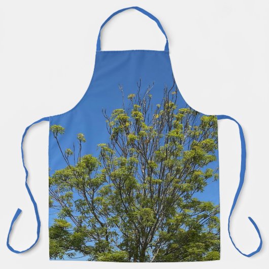 Tablier Grand Ash Tree Dans La Belle Photo Ciel Bleu (Recto)