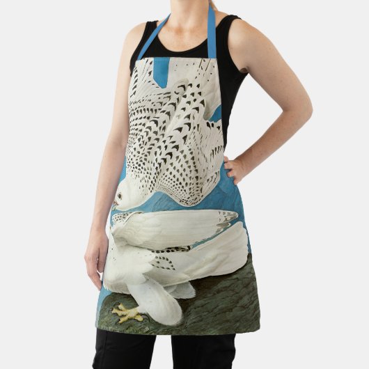 Tablier Gyrfalcons, alias Gerfalcons par John James Audubo (Insitu)