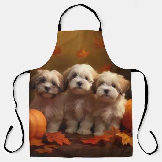 Tablier Havanais chiot automne ravi Citrouille (Recto)