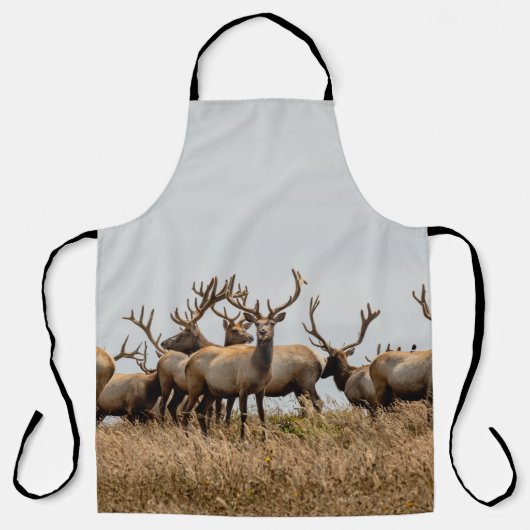 TABLIER HERBE DE CERF (Recto)